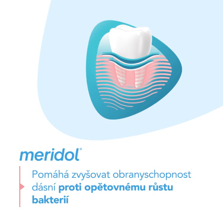 meridol® Gum Protection zubní pasta pro ochranu dásní